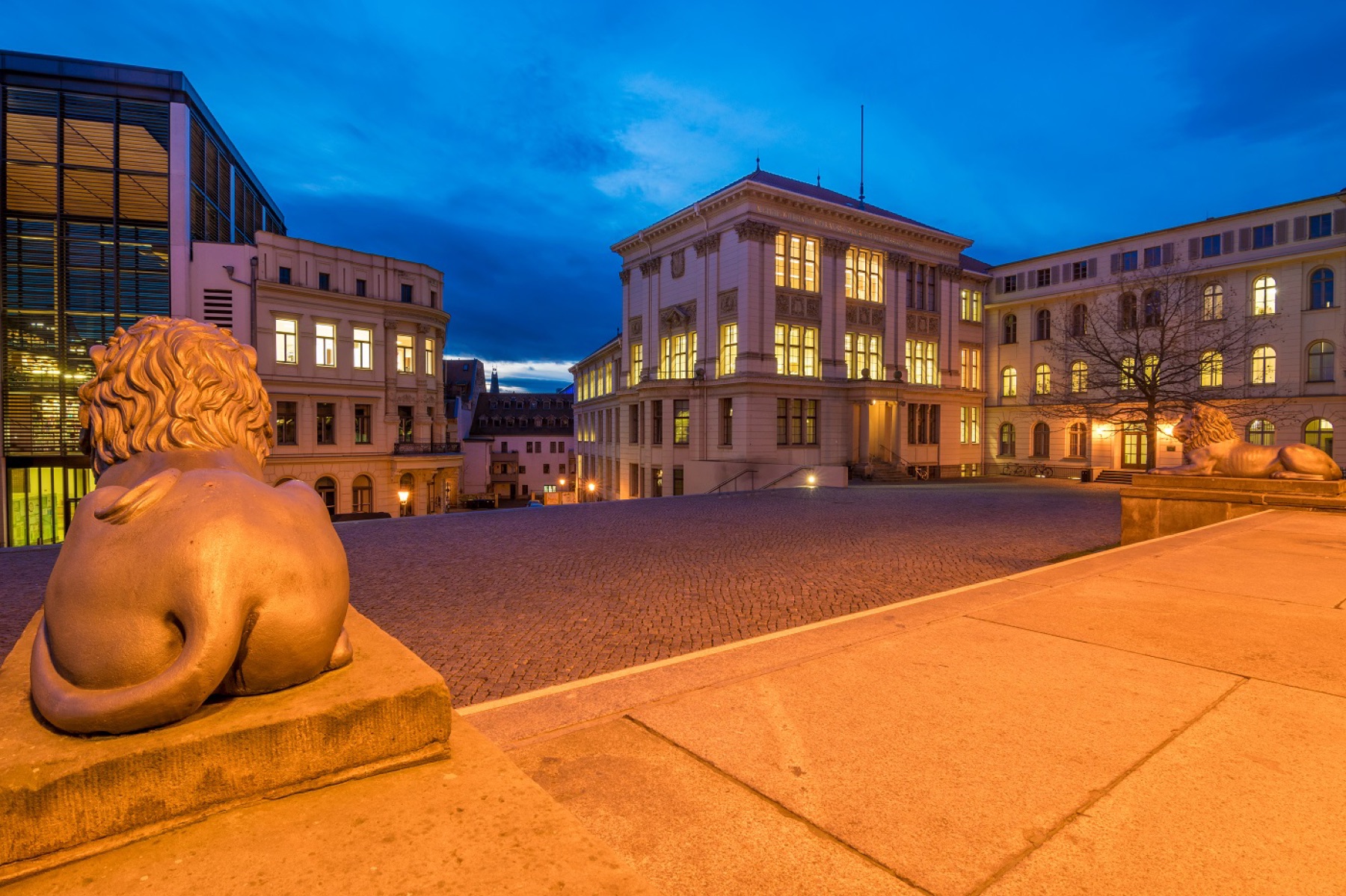 Löwenfiguren und beleuchtete Fassaden in Halle am Abend